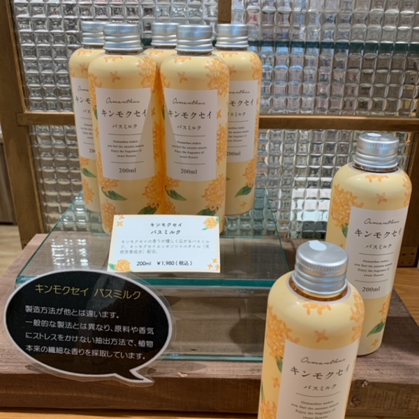 秋の気配を一足お先に キンモクセイシリーズ入荷いたしました 生活の木ハーブギャラリー ショップニュース トナリエつくばスクエア 秋の気配を一足お先に キンモクセイシリーズ入荷いたしました 生活の木ハーブギャラリー ショップニュース トナリエつくばスクエア
